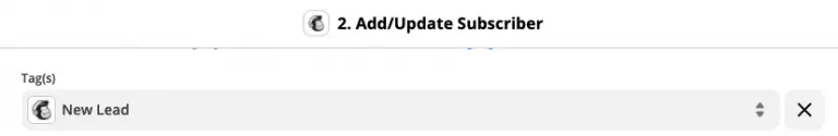 Assign subscribers mailchimp tags through zapier