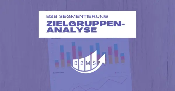 Kundensegmentierung und Zielgruppenanalyse B2B