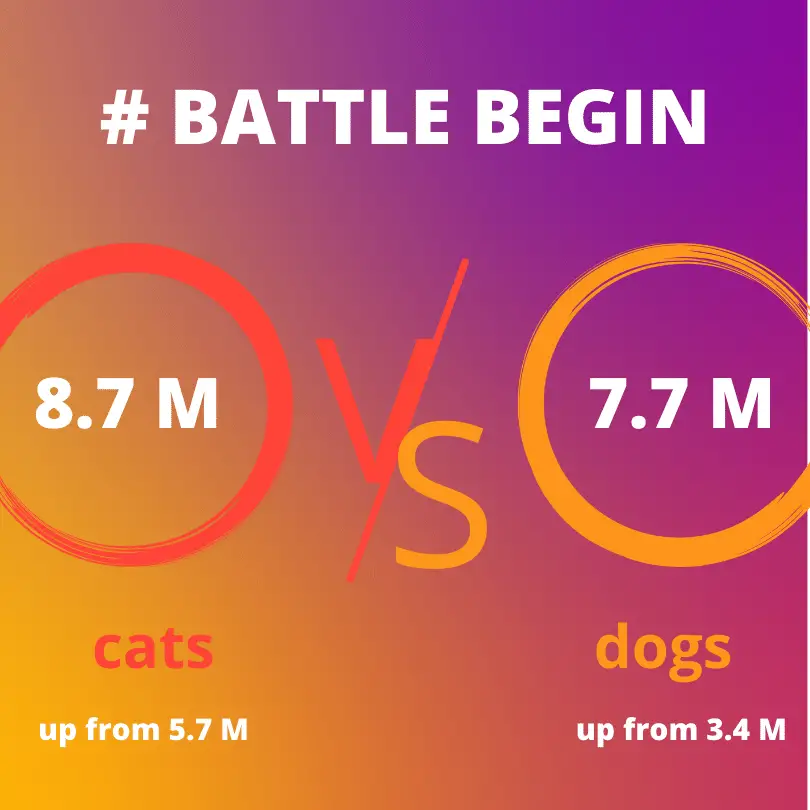 funny hashtags 2024 cats vs dogs