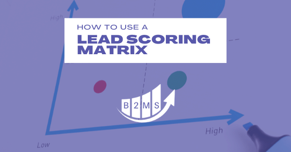 What is a lead score matrix