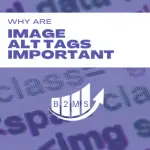 Why are Image Alt Tags important for SEO