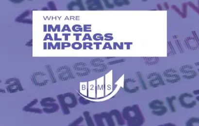 Why are Image Alt Tags important for SEO