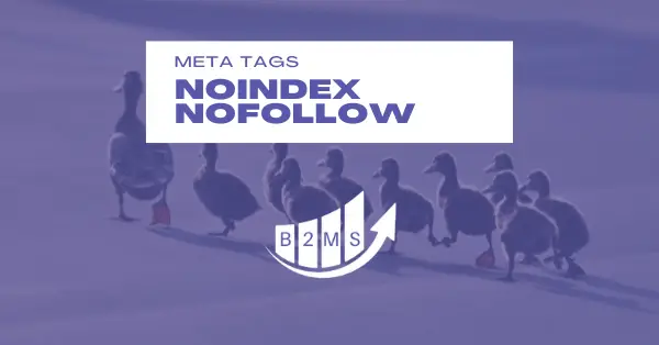 NoIndex NoFollow SEO Meta Tags