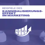 Kannibalisierungseffekt im Marketing