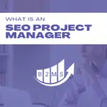 What is an SEO Project Manager