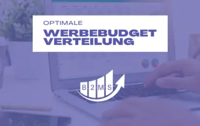 Verteilung werbebudget