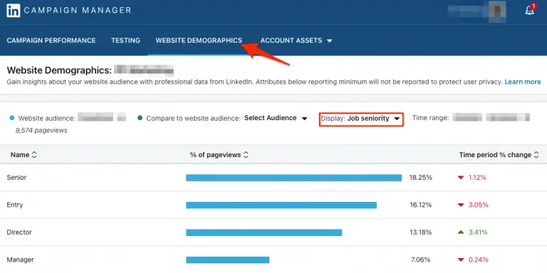 LinkedIn Website Demographics